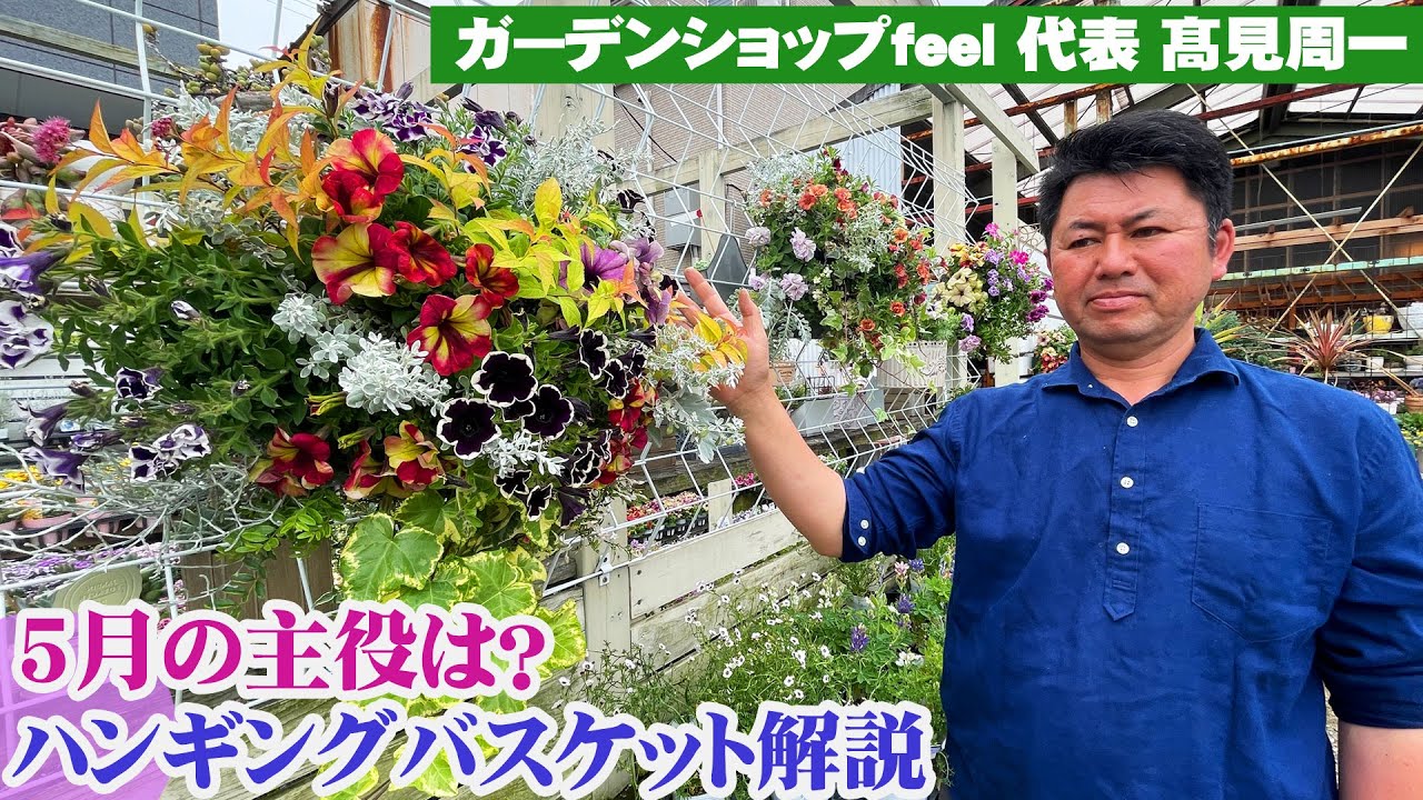 Garden Shop Feel] Hanging baskets decorated with petunias and