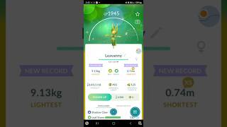 ✨Shiny Sewaddle Family! (Swadloon, Leavanny) Pokemon Go! #pokemon #pokemongo #pokémongo