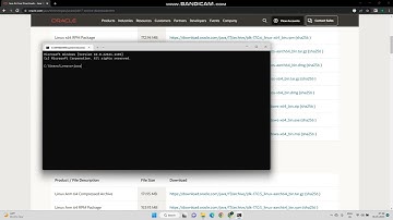 How to install Java/JDK on Windows | JDK17