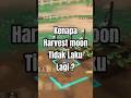 Kenapa Harvest Moon Tidak Laku ?