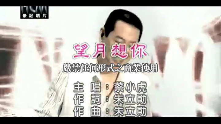 蔡小虎-望月想你(官方KTV版) - 天天要聞