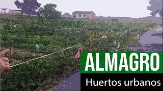 Huertos urbanos - Almagro || Huertos en España.