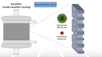 Viral Safety in Biomanufacturing Part 6 - Nanofiltration - Two Minute Tuesday Technical Training