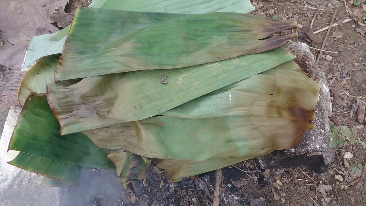 Grilled 2 kg Indian Halibut Fish with Basil Sauce