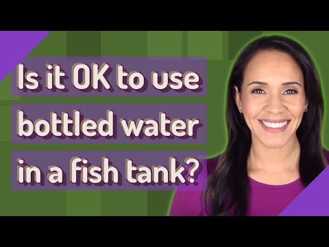 Is it OK to use bottled water in a fish tank?