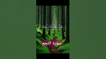سورة النجم #دويتو #تيك_توك #لايك #دعاءمستجاب #quran # قران #دعاء #duet #اكسبلور #صباح_الخير #فولو