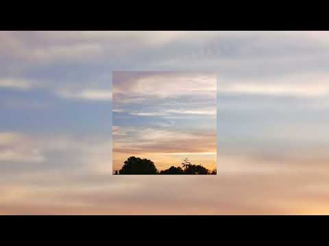 Werenoi Poney Speed Up 