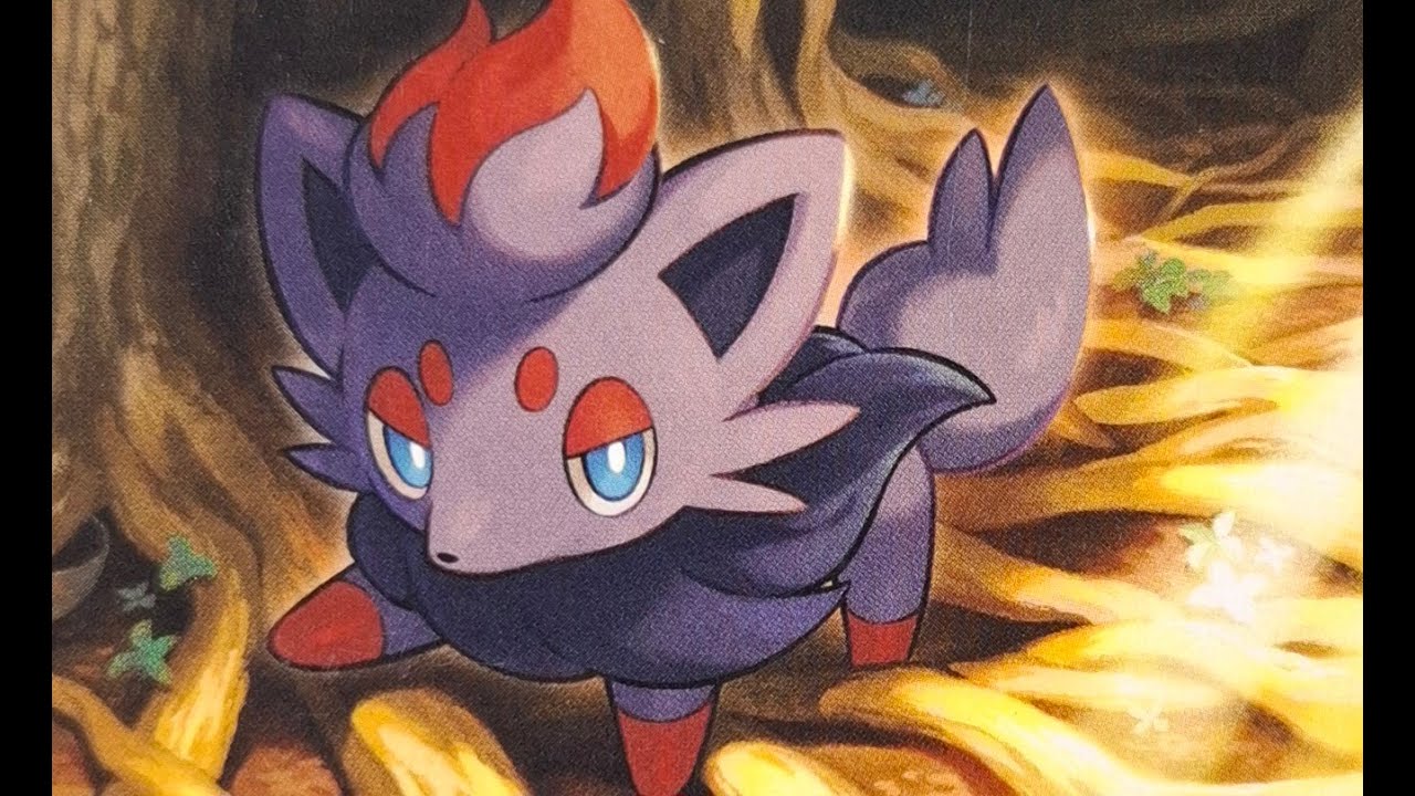 Weakness Box / Decklist update / Pokémon Trading Card Game