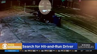 Driver sought in fatal hit-and-run crash in Arlington Heights