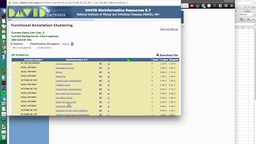 DAVID (Functional Annotation Tool) Tutorial