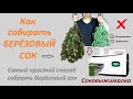 Как собирать БЕРЁЗОВЫЙ СОК