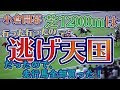 【競馬検証】夏の小倉競馬。逃げ天国なので先行馬全部買った。