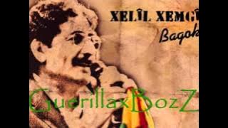 Xelil Xemgin Cerxa Sorese ()