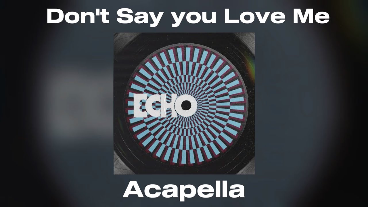 Jin - Don't Say You Love Me (Acapella)