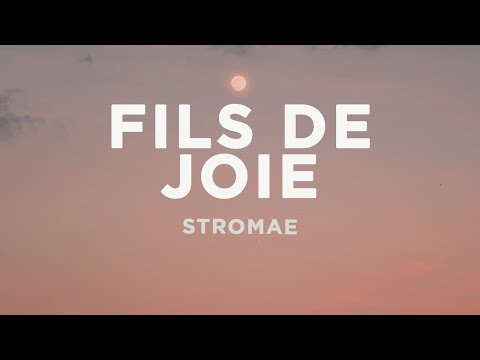 Stromae - Fils de joie (Paroles/Lyrics)