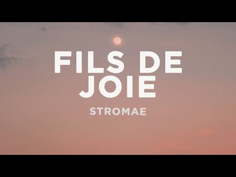 Stromae - Fils De Joie