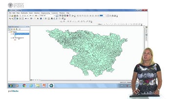 Trabajo con tablas para la carga de datos en ArcGIS |  | UPV