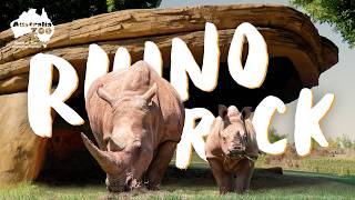Rhino Heaven! | Africa Savannah Habitat