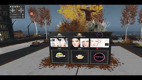 How to setup vendors & Demo