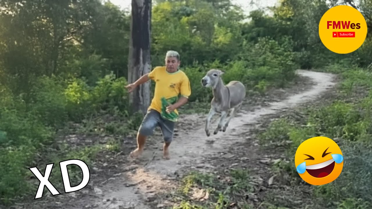 SI TE RÍES PIERDES NIVEL DIOS #544 🤣 ¡TOTALES IDIOTAS EN EL TRABAJO 😆 VIDEOS DE RISA 2025 😂