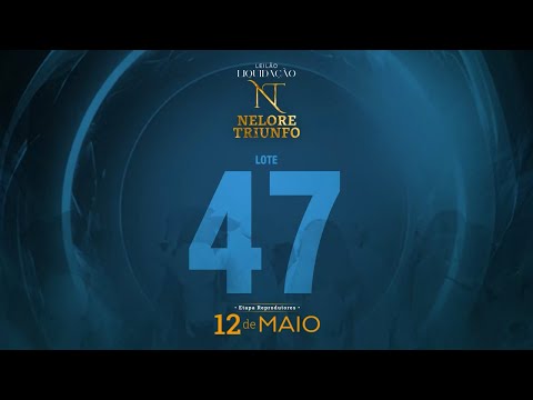 LOTE 47 - MACF 639 - MACF 648