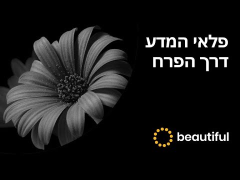 וִידֵאוֹ: פלאי המדע: יהלומים מהאוויר