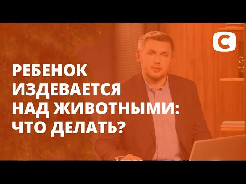 Ребенок издевается над животными: что делать? – Супермама