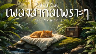 เพลงสากลเพราะๆ อัลบั้ม Soft Memories ฟังยามเหงาในวันฝนตก 🎧 Chill Pop by Lazy Cat screenshot 4