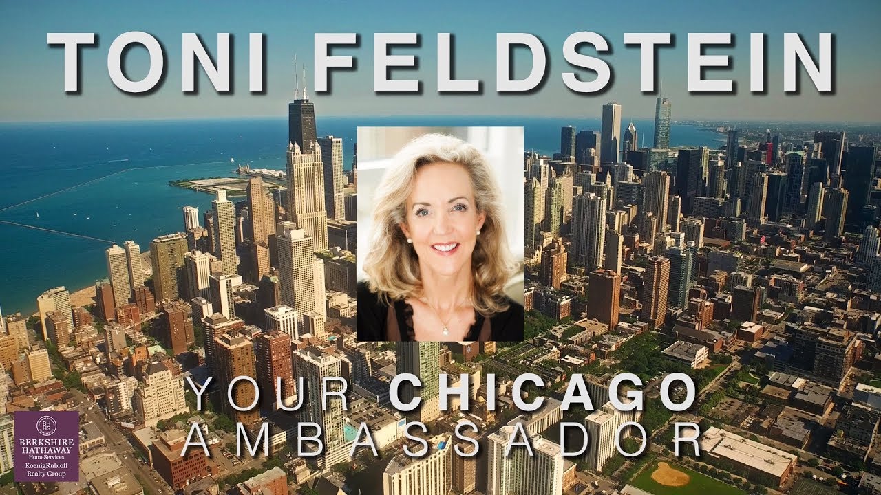 LUXURY CONDOS LAKE SHORE DRIVE CHICAGO YouTube