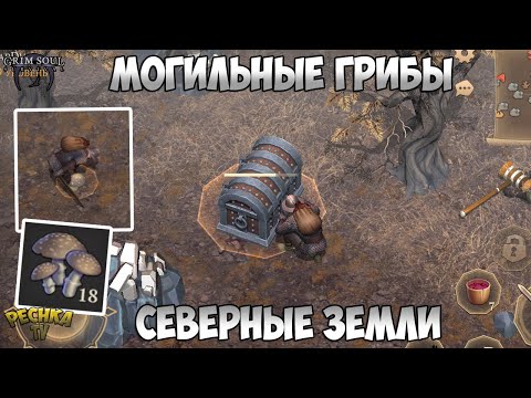 Видео: СЕВЕРНЫЕ ЗЕМЛИ И МОГИЛЬНЫЕ ГРИБЫ! СЕВЕРНАЯ ЛОКАЦИЯ ПЯТЬ ЧЕРЕПОВ! - Grim Soul: Dark Fantasy Survival