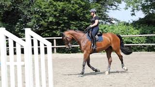 Flatwork For Young Riders with Meredith Michaels Beerbaum