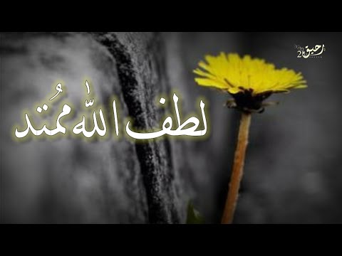 لطف الله ممتد خاطرة دينية حالات واتس اب دينيه مقاطع دينيه قصيرة مقاطع انستا