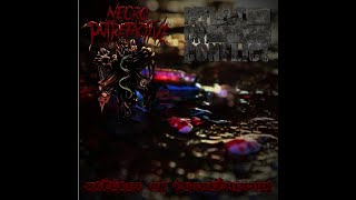 NECRO PUTREFACTIVE / REFLECT ON CONFLICT - REFLECT ON PUTREFACTION (Full split 2021)