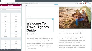 Determining Visibility of Elementor Widgets Based on user roles