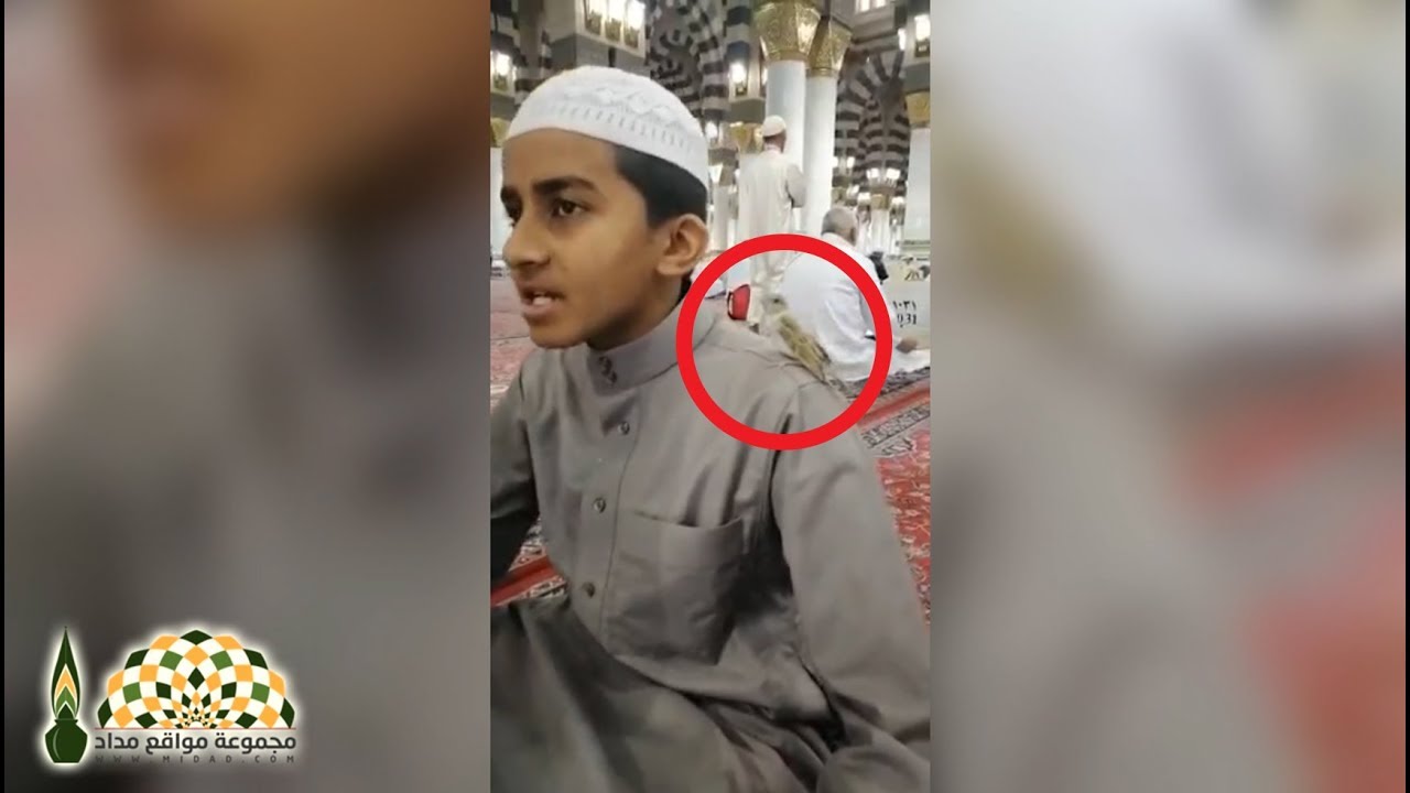 خشوع العصفور لسماعه ترتيل الطالب في حلقات تحفيظ القرآن الكريم في المسجد النبوي الشريف