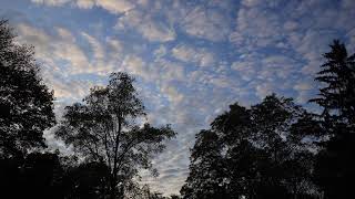 Canon 90D 4k Timelapse Test