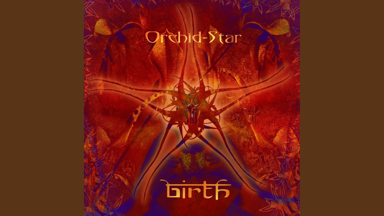 Orchid-Star - Wildflower