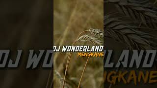 DJ WONDERLAND KANE