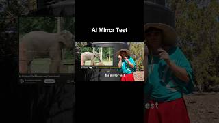 Can AI Recognize itself?