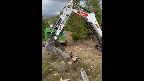 TRACKED CHIPPER TURNING WOOD LOGS INTO MULCH!