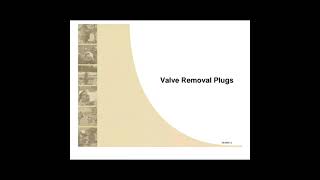 Valve Removal Plugs and Lubricator