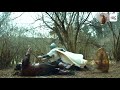 قتال بامسي و تورغوت الب وارطغرل غازي الاسود الثلاث