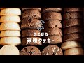 【米粉レシピ】こんなんなんぼあってもいい。さくほろ食感！簡単な米粉クッキーの作り方｜保護猫ゆげ