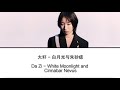 Da Zi - White Moonlight and Cinnabar Nevus (白月光与朱砂痣-大籽) || Lyric Han Zi, Pin Yin & English Subtitle