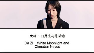 Da Zi - White Moonlight and Cinnabar Nevus (白月光与朱砂痣-大籽) || Lyric Han Zi, Pin Yin \u0026 English Subtitle