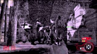 HOW TO KILL A TEAMMATE - BLACK OPS ZOMBIES screenshot 5