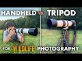 TRIPOD or HANDHELD - The Wildlife Photography Dilemma