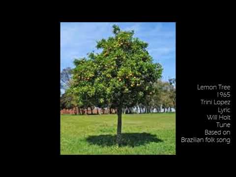 Lemon Tree 1965 Trini Lopez Lyric Will Holt Tune based on Brazilian folk song
