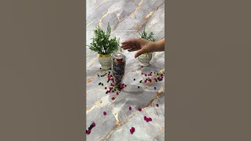 ASMR Beads in Reverse – Calming Pulls, Soft Taps & Gentle Clicks