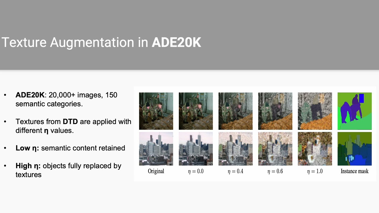 Decoupling Shape and Texture in SAM-2 via Controlled Texture Replacement (WACV 2026)